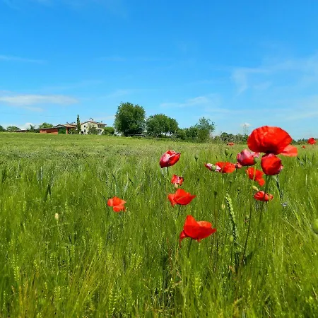 Літній будинок Al Torcol Agriturismo